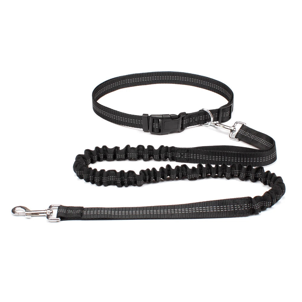 Hands-Free Dog Leash – Walk, Run & Explore with Total Freedom!
