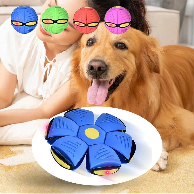 UFO Magic Flying Saucer Ball – Transforming Fun for Dogs!