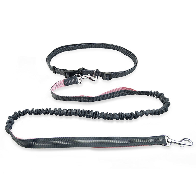 Hands Free Dog Leash Bungee Running Leash 4 Comfort and Control