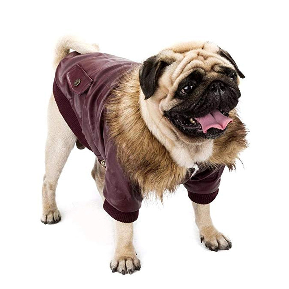 Dog Leather Jacket – Fur Collar & Warm Lambskin Lining