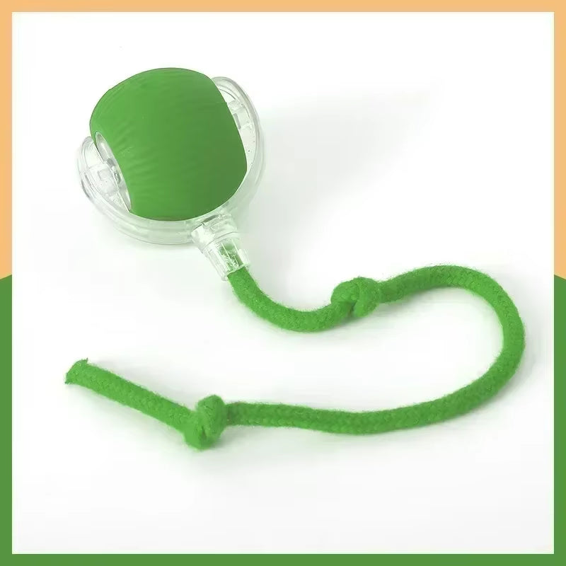Interactive Rechargeable Pet Toy – The Ultimate Chase & Play Experience!