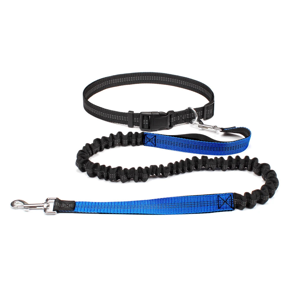 Hands-Free Dog Leash – Walk, Run & Explore with Total Freedom!