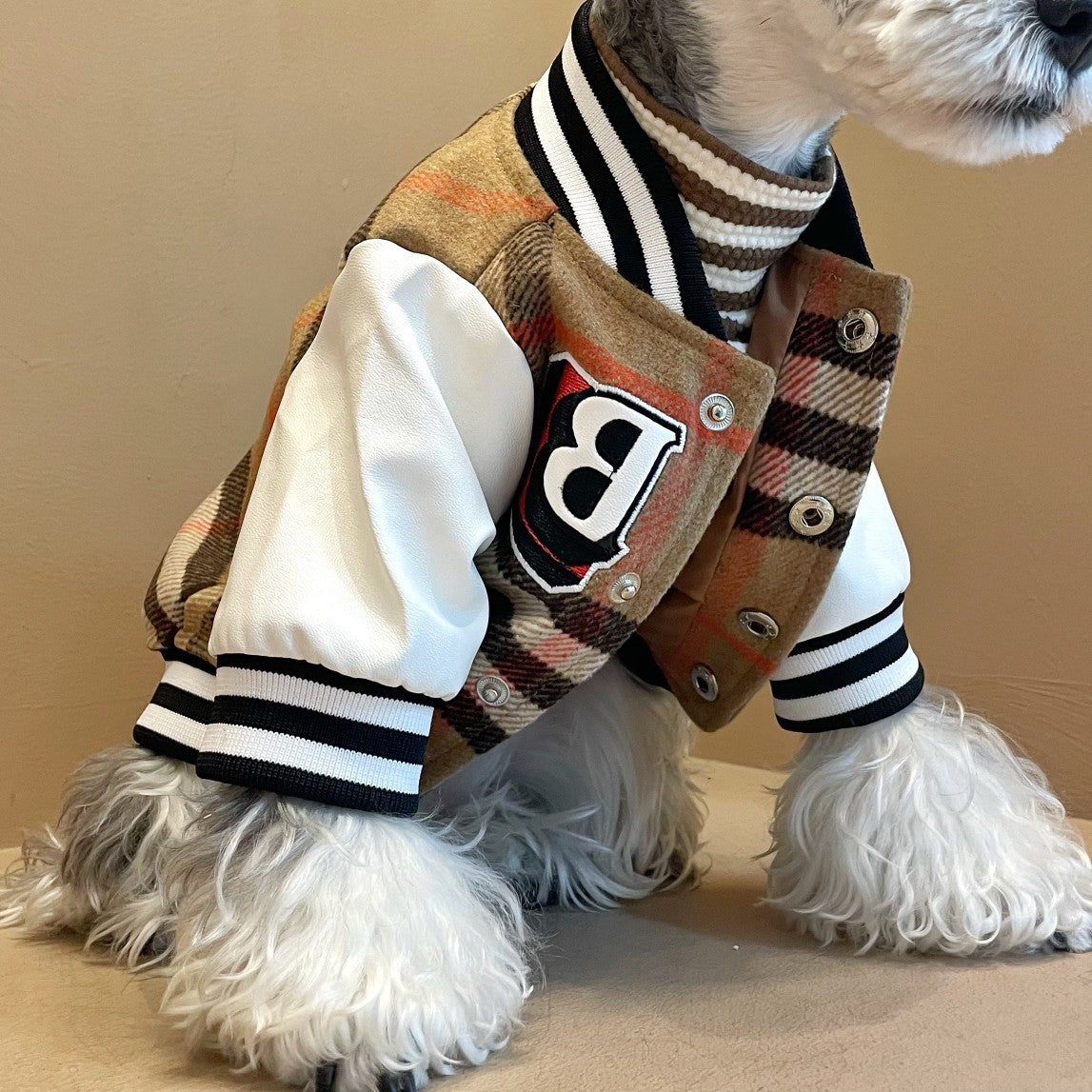 Letterman Varsity Retro Style Dog Jacket for Cool Pups