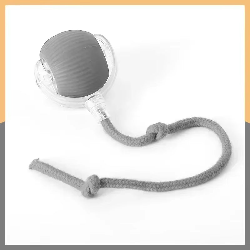 Interactive Rechargeable Pet Toy – The Ultimate Chase & Play Experience!