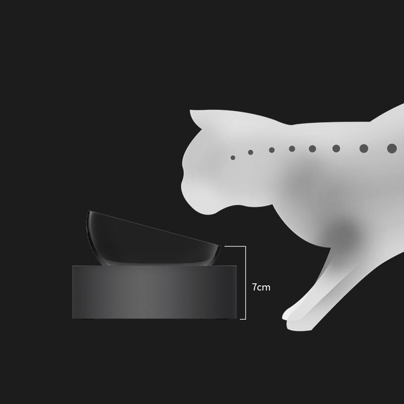Stainless cat Bowls