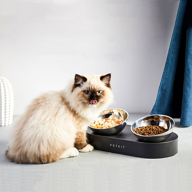 Stainless cat Bowls