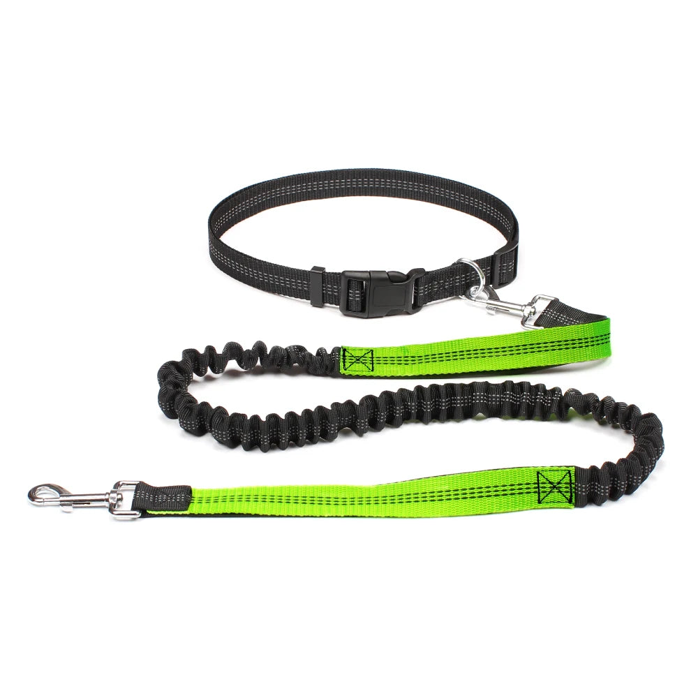 Hands-Free Dog Leash – Walk, Run & Explore with Total Freedom!