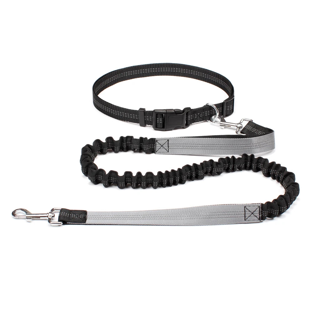 Hands-Free Dog Leash – Walk, Run & Explore with Total Freedom!