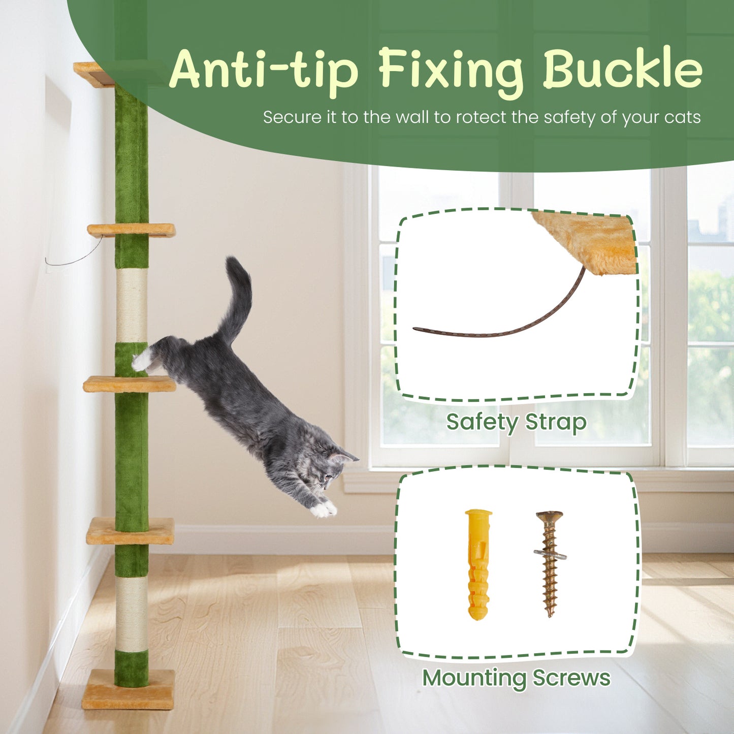 green cat frame