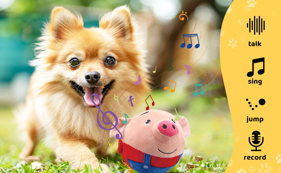 Dog chasing self bouncing ball – automatic squeaky ball for entertainment and exercise