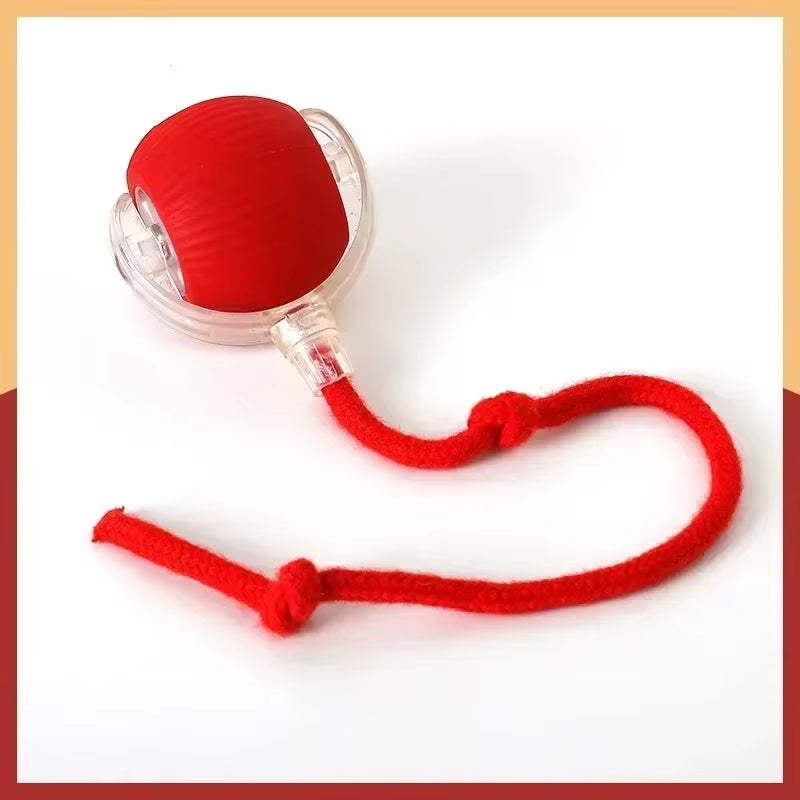 Interactive Rechargeable Pet Toy – The Ultimate Chase & Play Experience!