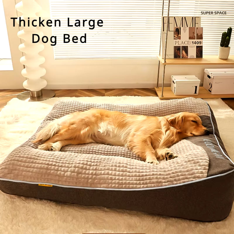 dogs sofa beds