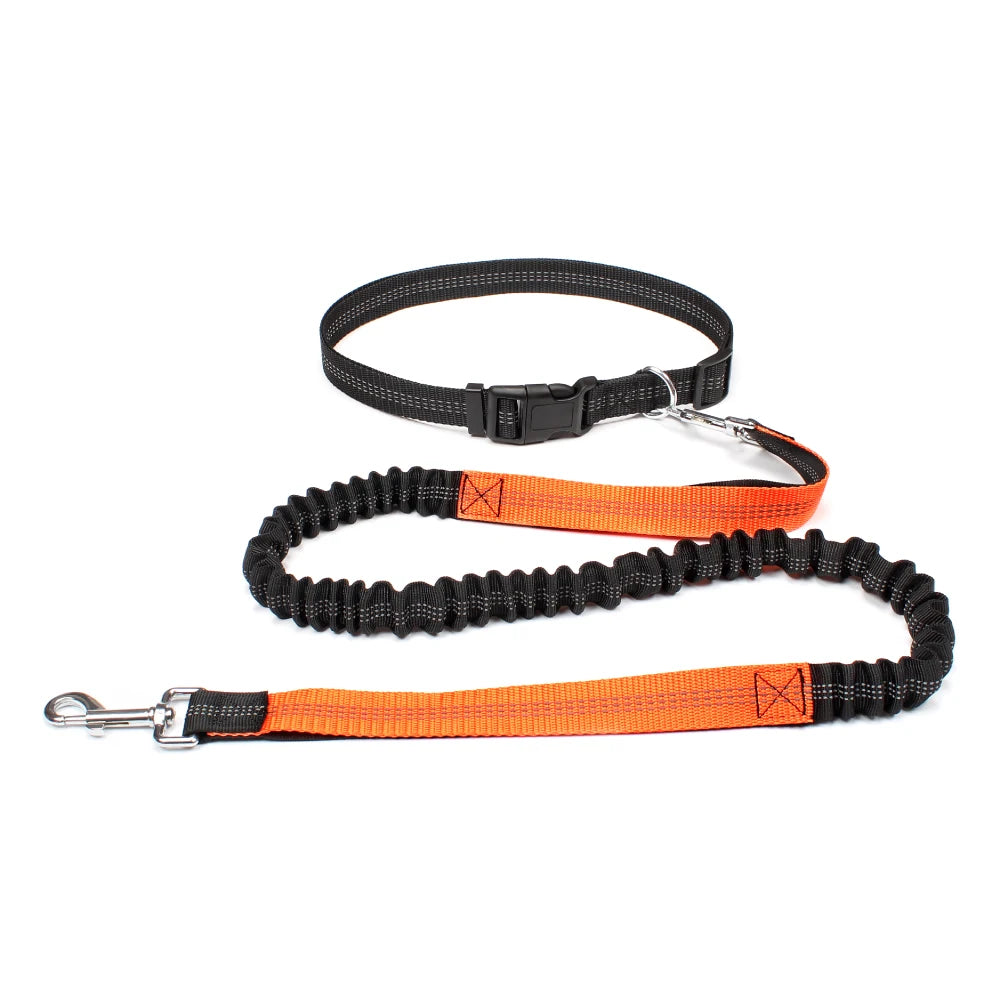 Hands-Free Dog Leash – Walk, Run & Explore with Total Freedom!