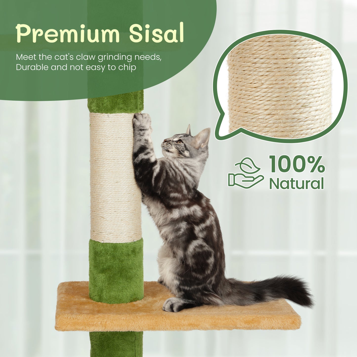 premium green cat frame