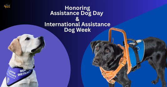 Honoring Assistance Dog Day & International Assistance Dog Week