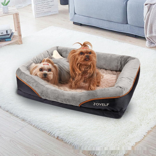 orthopedic dog bed