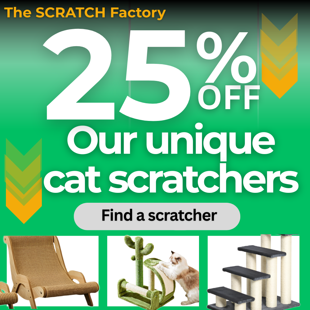 Scratch Factory