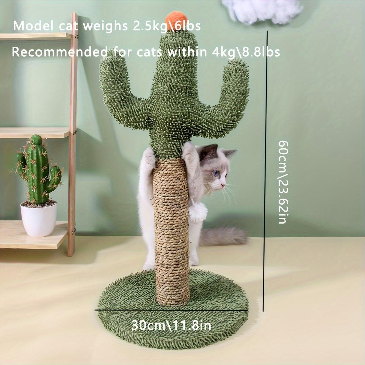 Interactive Cactus Cat Scratching Post Toy for Indoor Cats