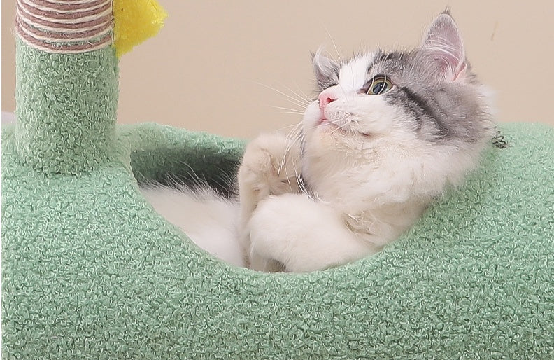 Wear-resistant duck shaped Cat Climbing Frame
