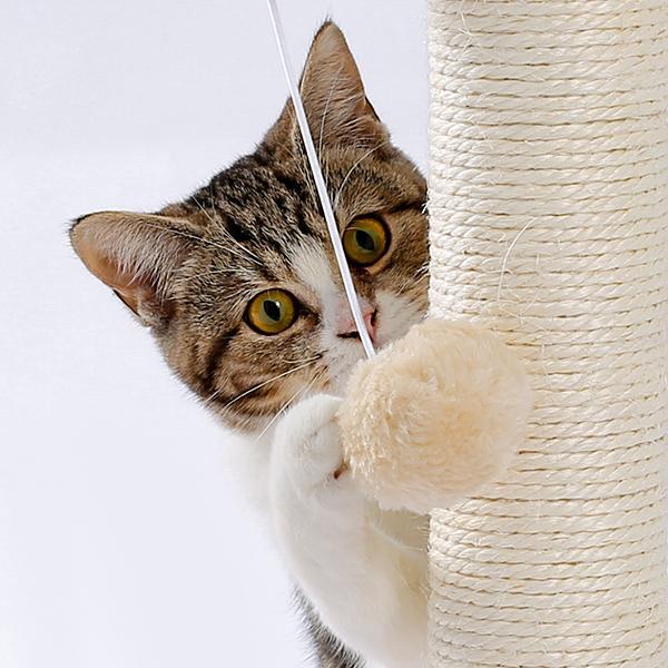 Indoor Cat Soft Scratching Post And Interactive Ball Toy