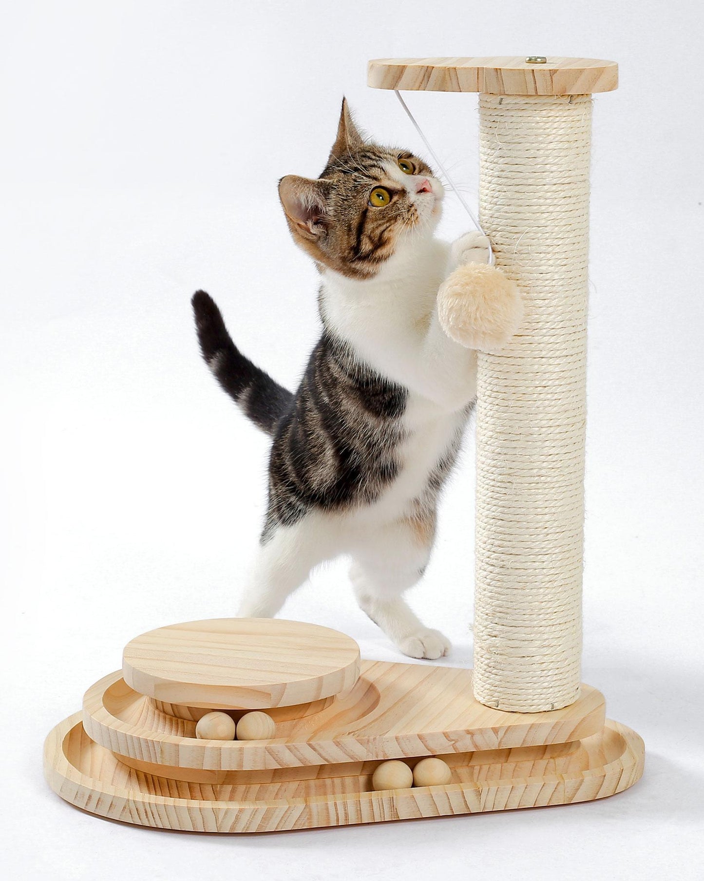 Indoor Cat Soft Scratching Post And Interactive Ball Toy