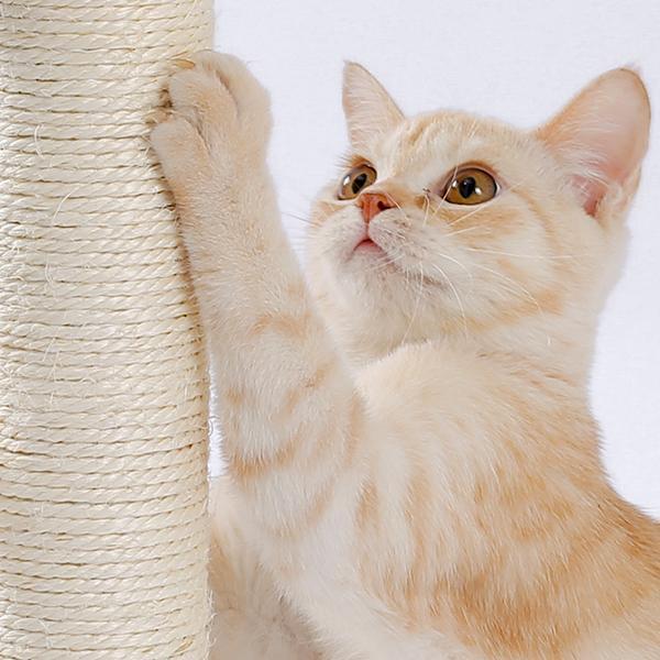 Indoor Cat Soft Scratching Post And Interactive Ball Toy