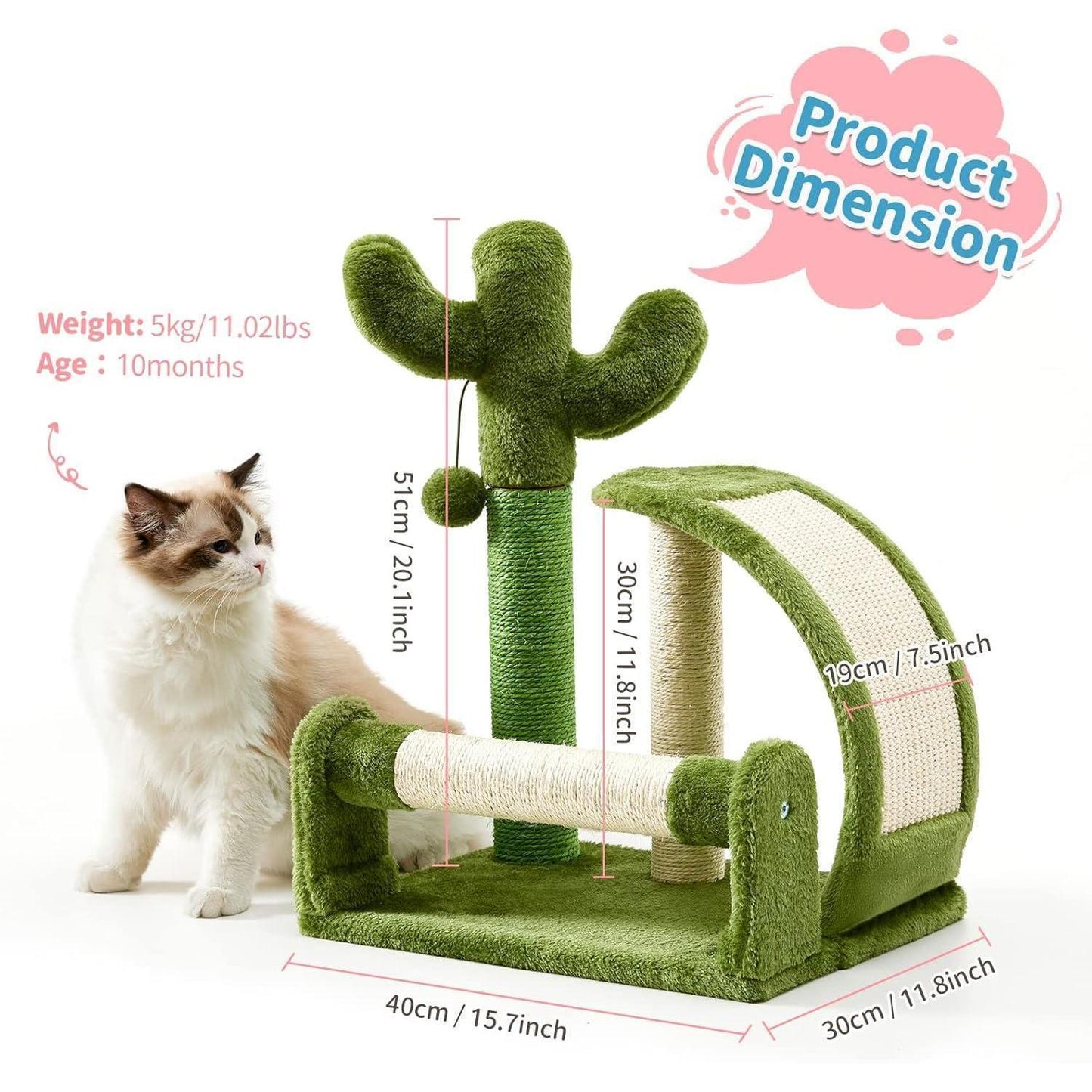 Green cat tree with dimensions and a cat sitting next to it on a white background