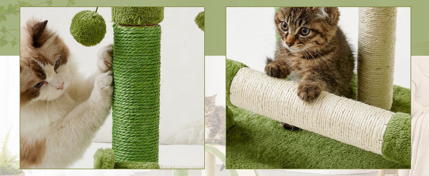 Two images of cats interacting with a green and beige cat tree.