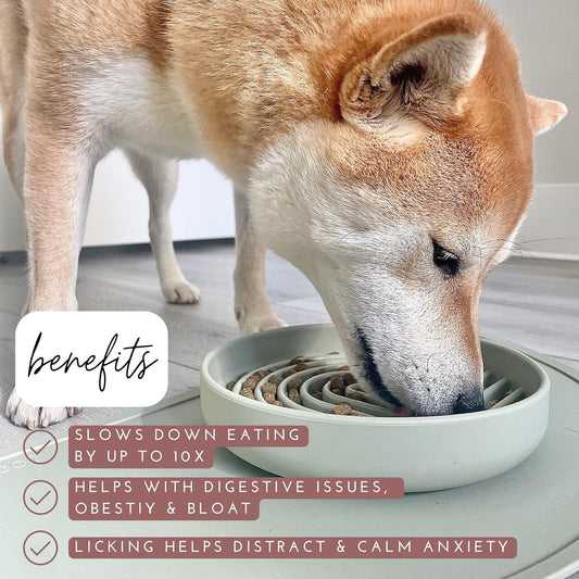 Dog eating from a bowl with text about benefits on a light background